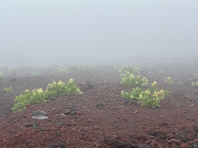 擱一擺雨中完登日本之顛-富士山