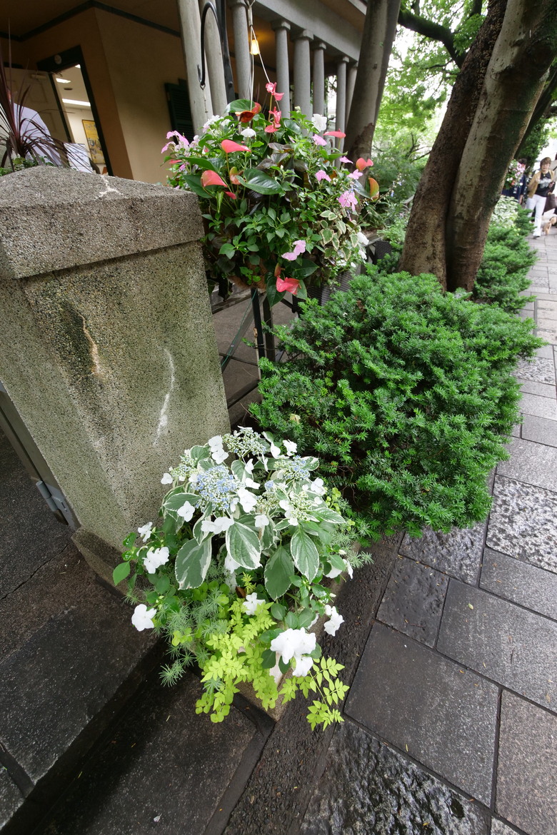 冷門景點 橫濱山手地區 Berrick Hall エリスマン邸 山手234番館