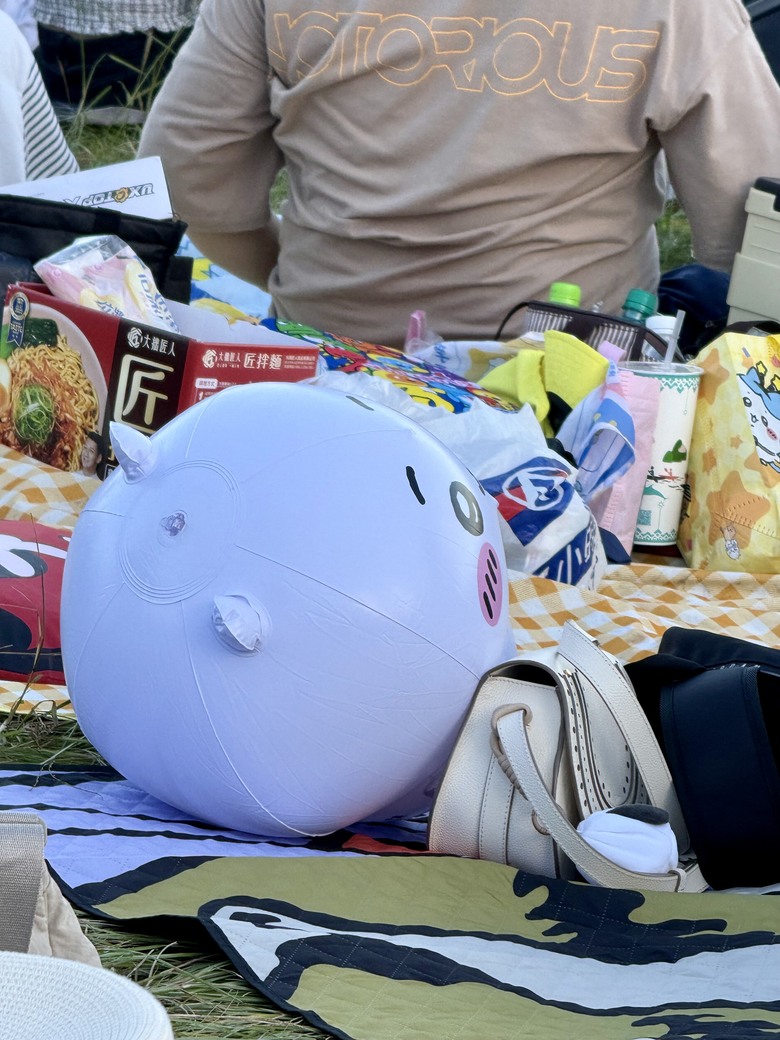 2026台東熱氣球嘉年華，跟著吉伊卡哇們一起玩台東