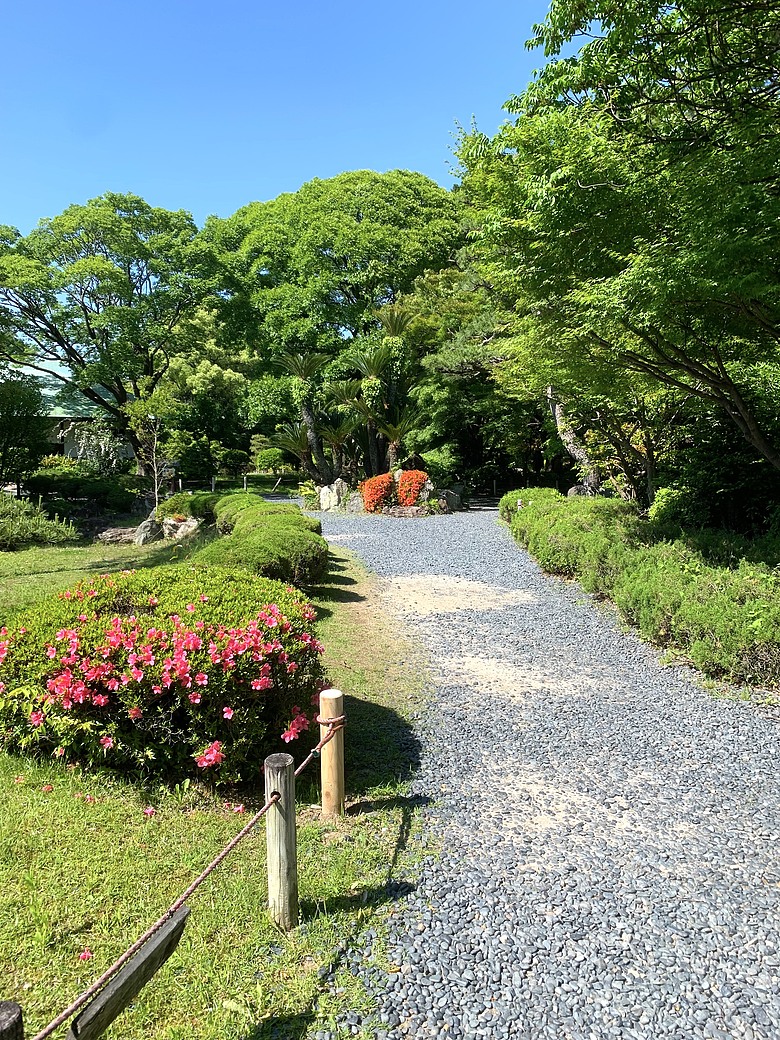 ＜日本＞2024～有個誤會但覺得照片很美的「名古屋一日遊」：東京外星人快閃店、大須觀音、名古屋城(？）、熱田神宮