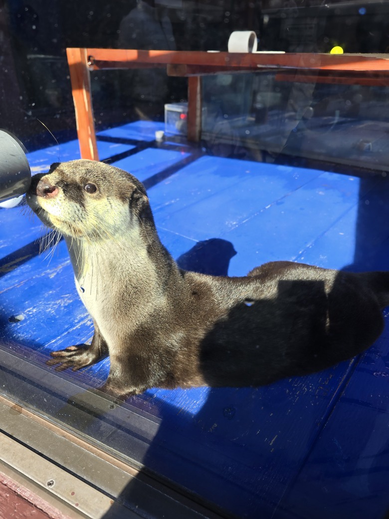 三重縣 伊勢海洋樂園 今天來點不一樣的水族館吧