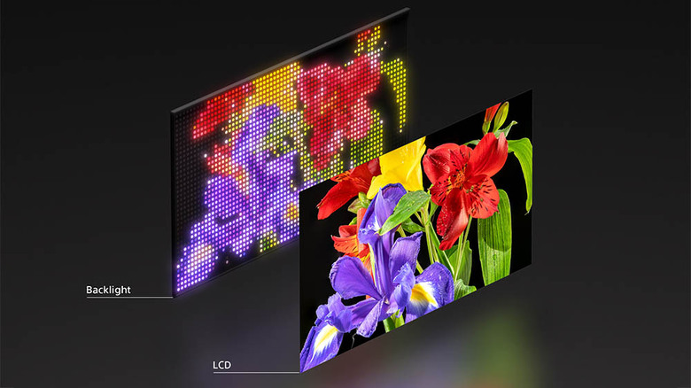 電視怎麼挑?以前有Mini LED vs OLED現在多一個True RGB