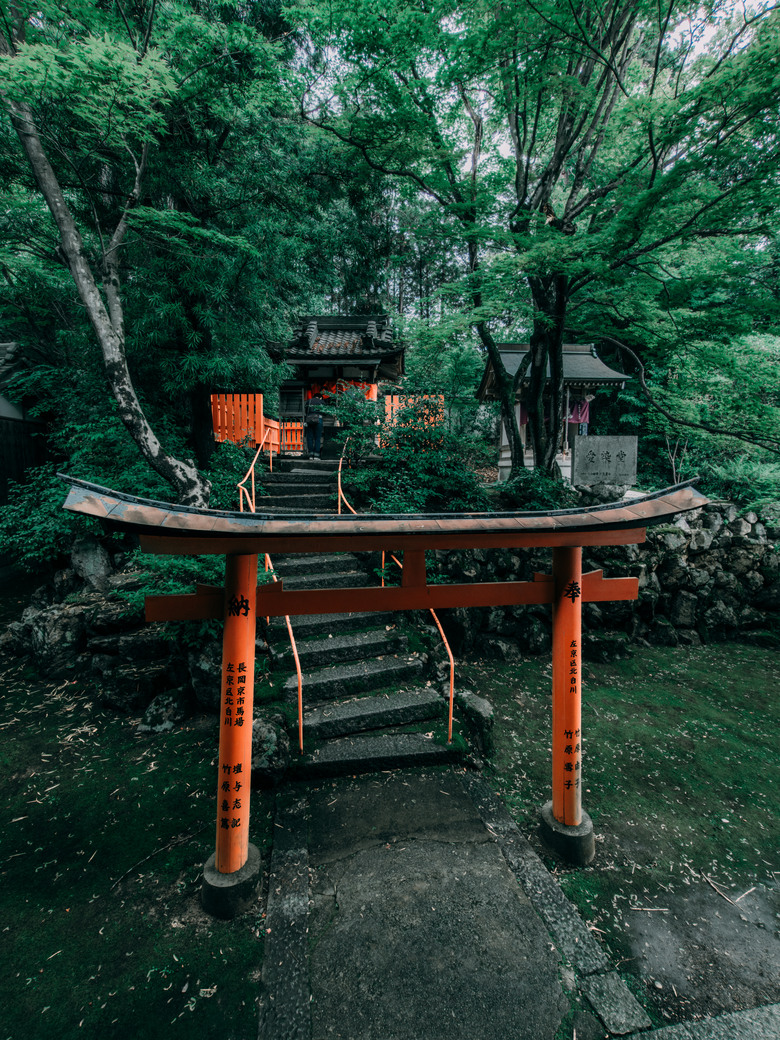 楊谷寺繡球花 - 和服雙女子漫遊 Kyoto