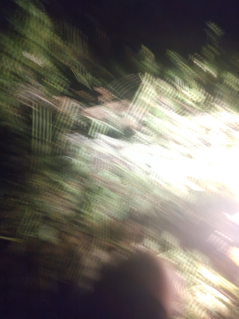割草割一割彈簧消失。