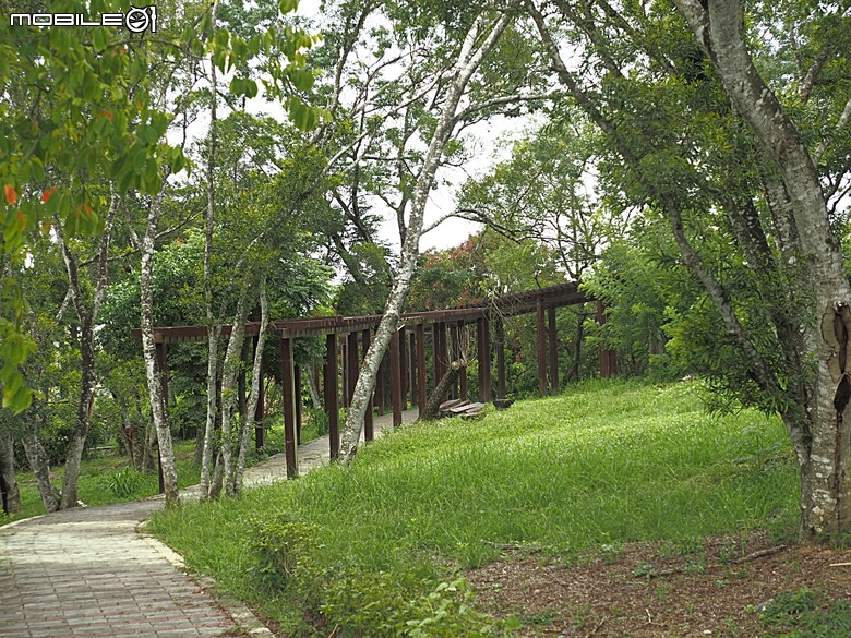 嘉義市立美術館、嘉義文化創意產業園區、嘉義城隍廟、嘉義市郵便局、文化路夜市，外掛美味可口的林聰明沙鍋魚頭、還有繁花似錦的臺南白河蓮花公園 — 2026 端午連假次日遊