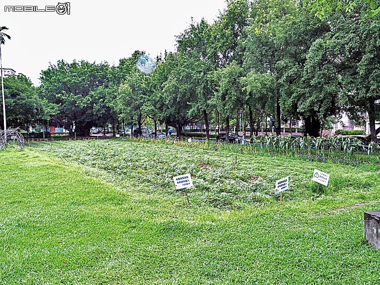 竹北新瓦屋客家文化保存區、采田福地、竹北泉州厝汾陽堂、東平問禮堂、竹北福佑宮(十三伯公)、蓮華寺、附掛美食之一浪拉麵 — 竹北一日雨中散策