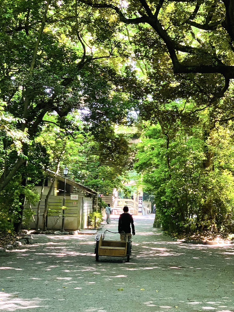 ＜日本＞2024～有個誤會但覺得照片很美的「名古屋一日遊」：東京外星人快閃店、大須觀音、名古屋城(？）、熱田神宮