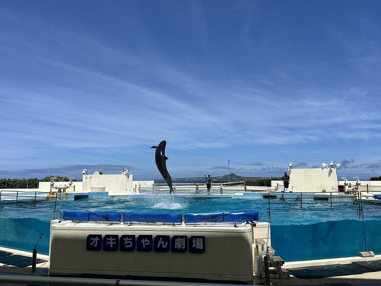 沖繩本島親子自由行|帶孩子玩翻世界文化王國、美麗海水族館!親子度假這樣排超輕鬆