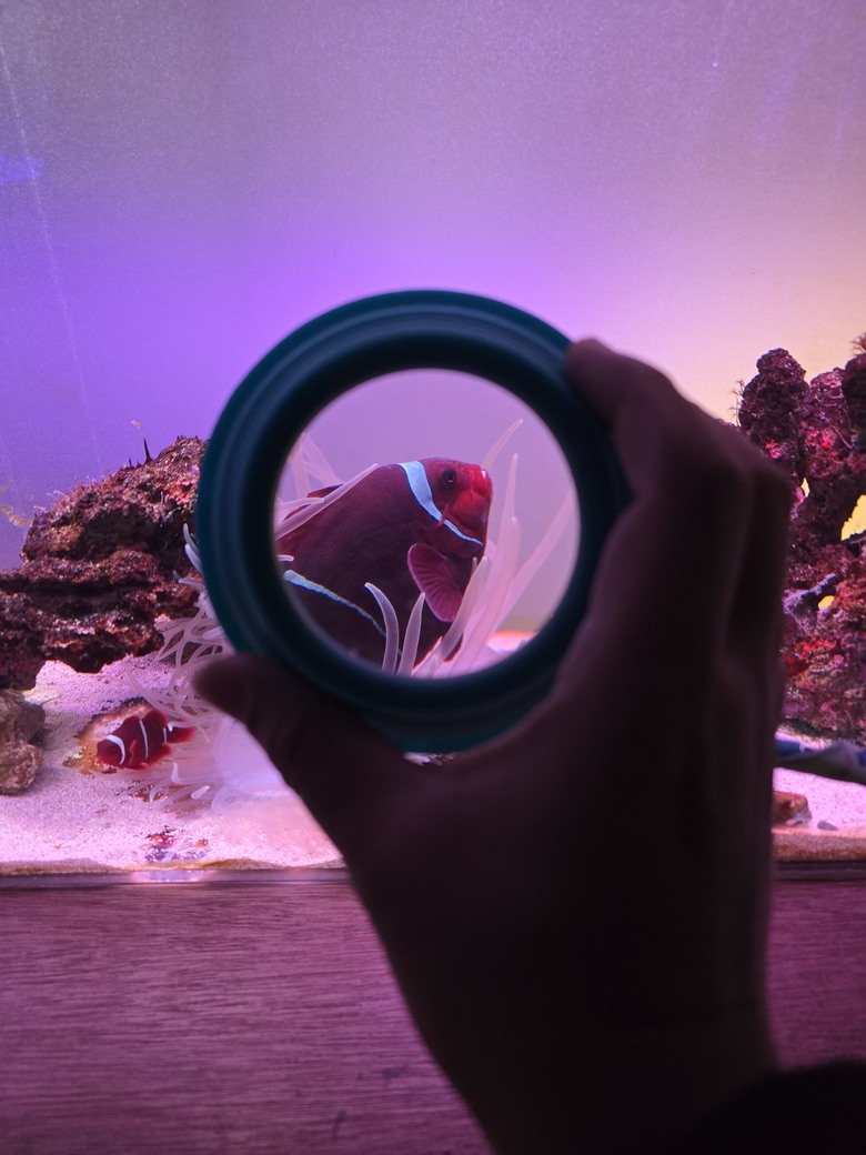 三重縣 伊勢海洋樂園 今天來點不一樣的水族館吧