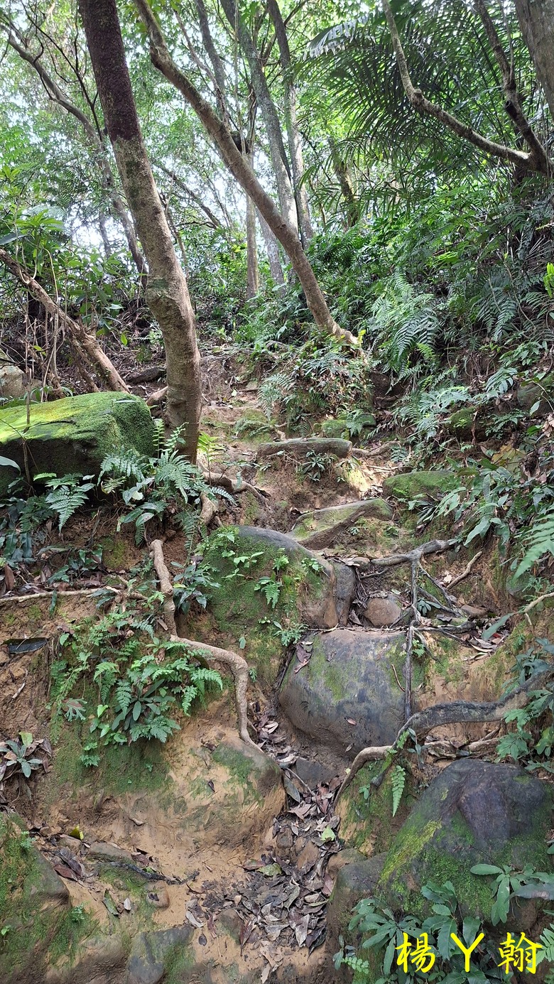 【郊山走走】拉繩攀爬登頂猴山岳前峰,猴山岳連走貓空圓山、岐山古道