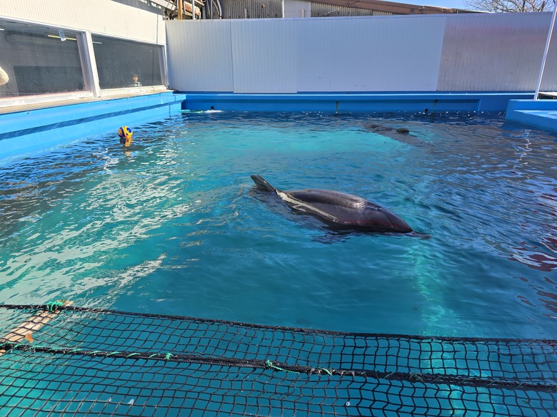 三重縣 伊勢海洋樂園 今天來點不一樣的水族館吧