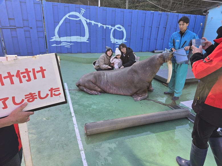 三重縣 伊勢海洋樂園 今天來點不一樣的水族館吧