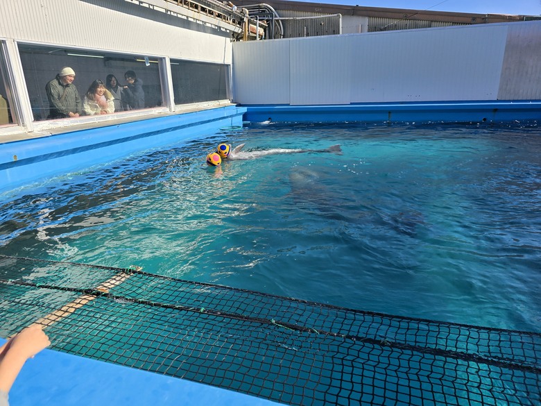 三重縣 伊勢海洋樂園 今天來點不一樣的水族館吧