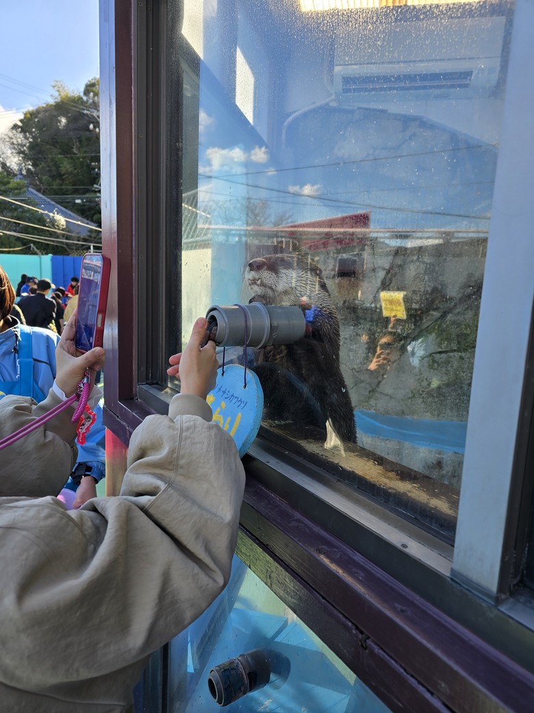 三重縣 伊勢海洋樂園 今天來點不一樣的水族館吧
