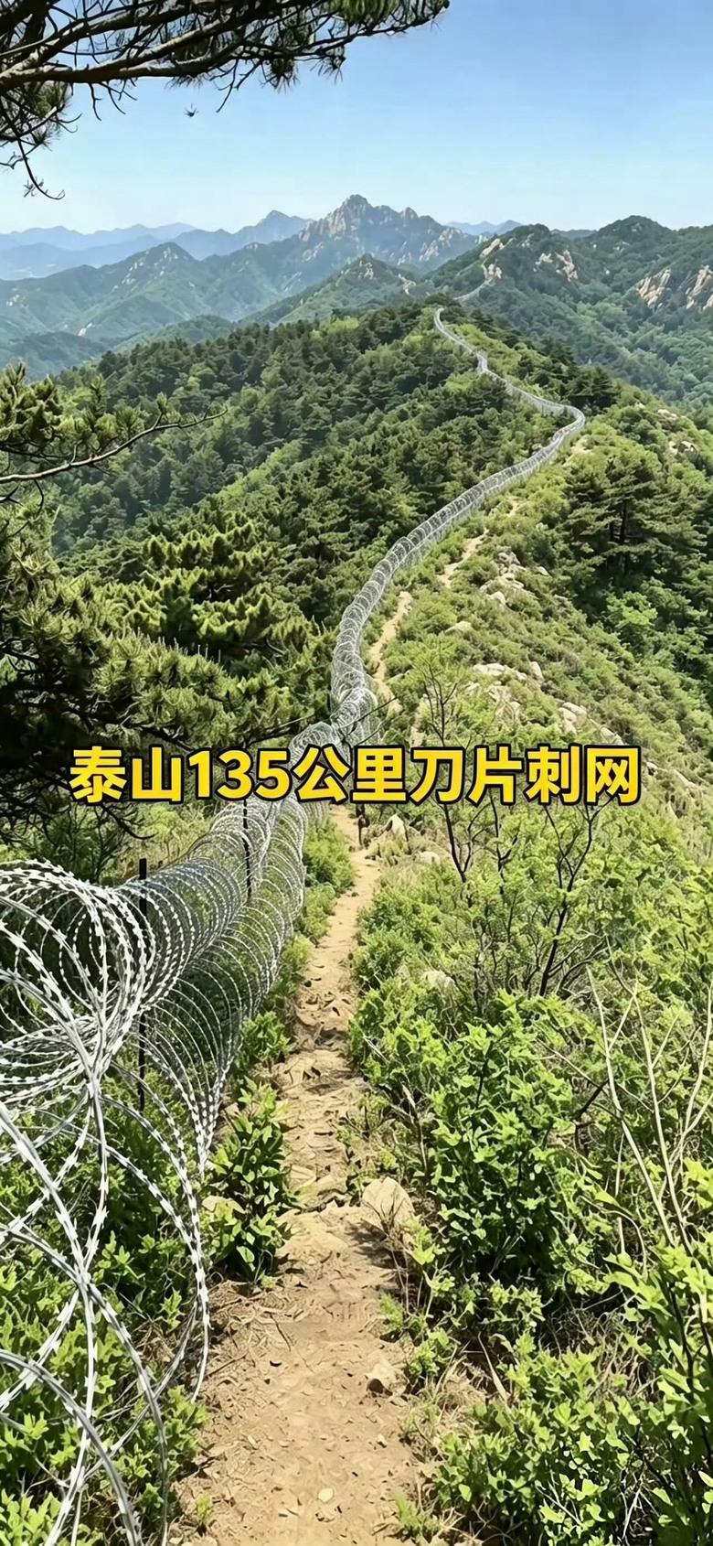 另外一樁遙遙領先，東嶽泰山的135公里鐵絲網