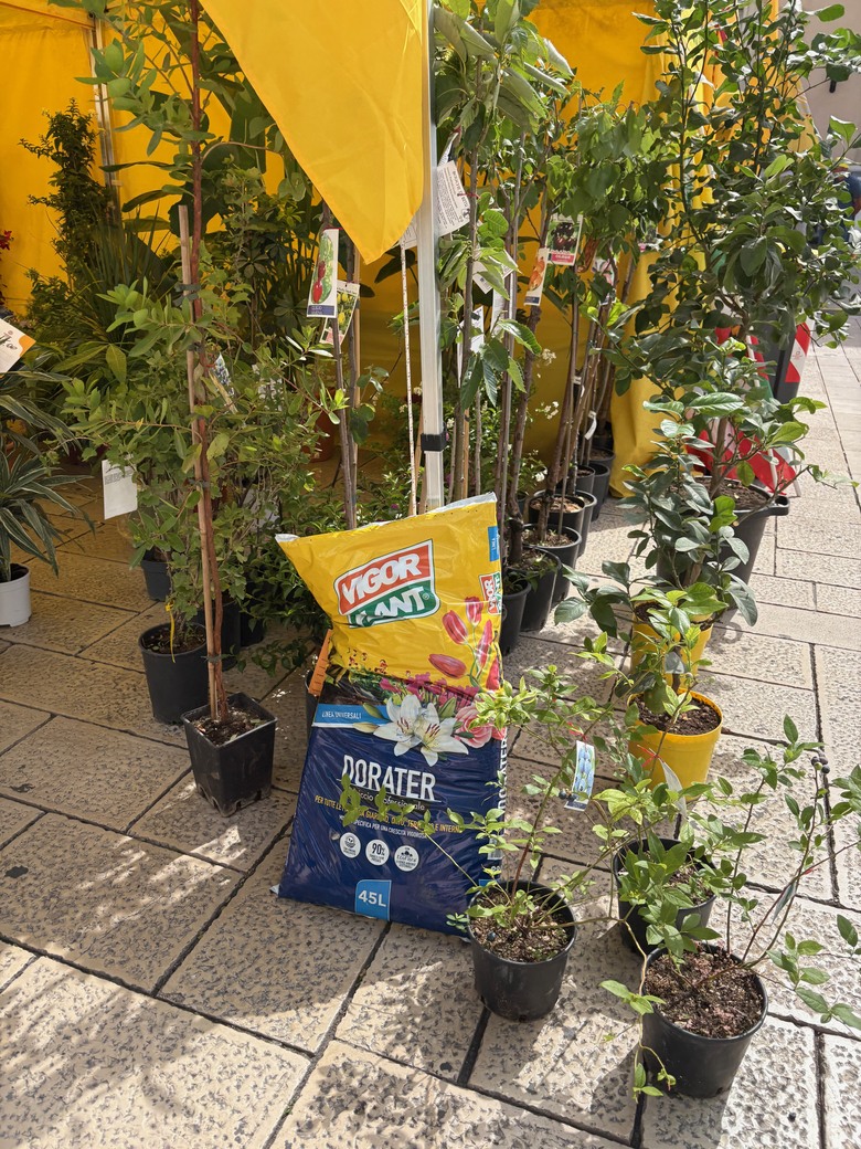 點我看大圖 意大利🇮🇹Bari巴里港之旅第一天,到達Matera馬泰拉古城
