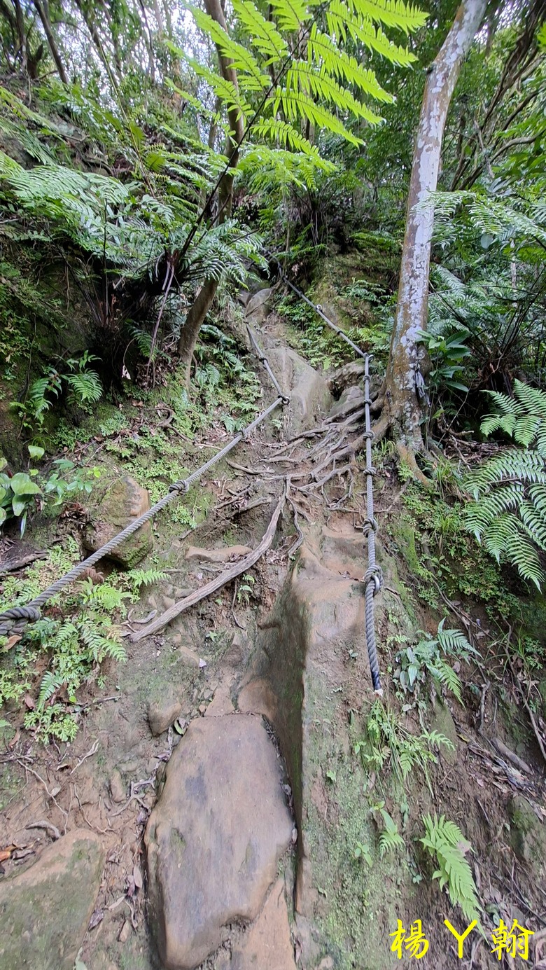 【郊山走走】拉繩攀爬登頂猴山岳前峰,猴山岳連走貓空圓山、岐山古道