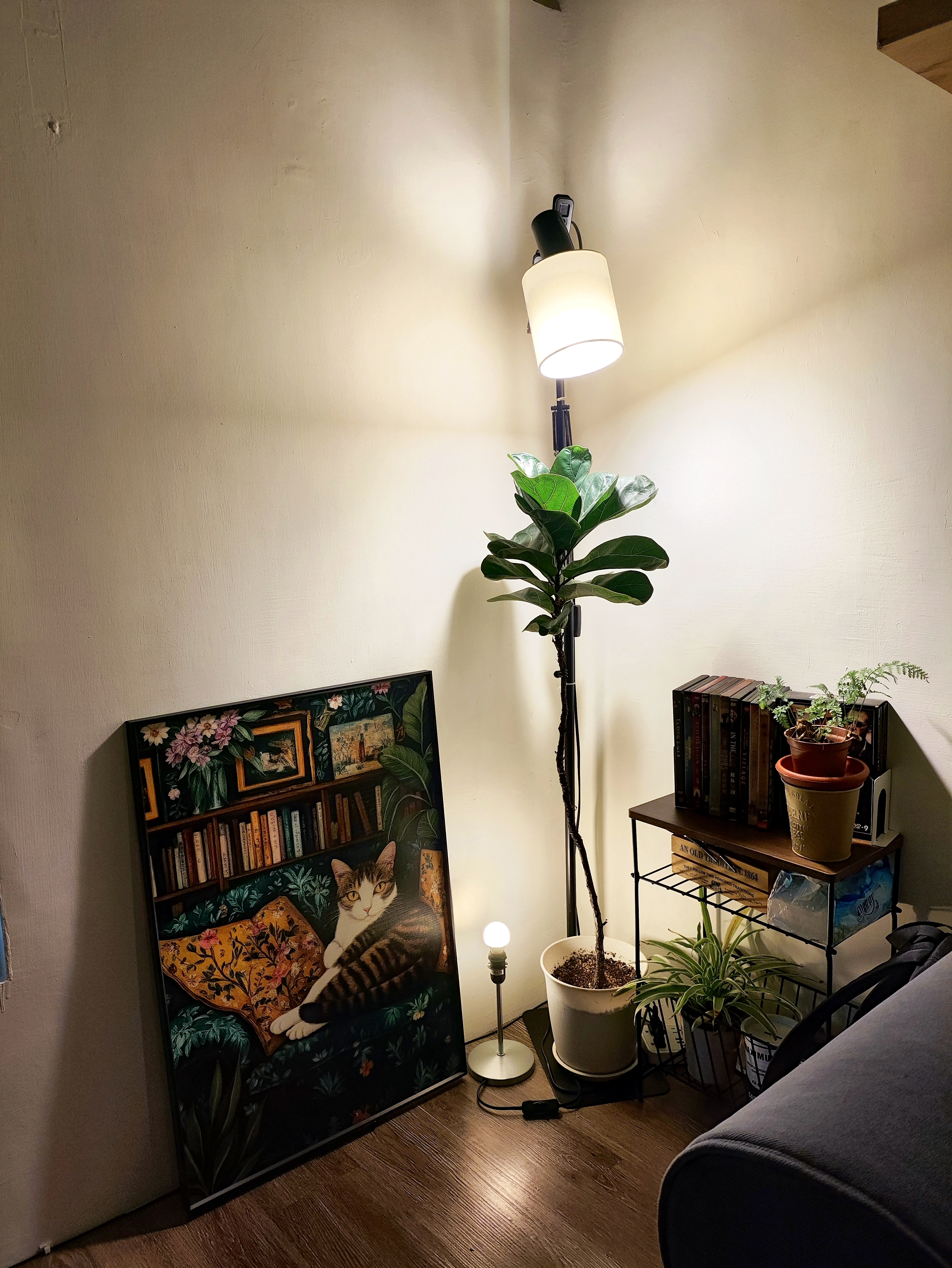 [開箱]不專業DIY舊屋變年輕part 2