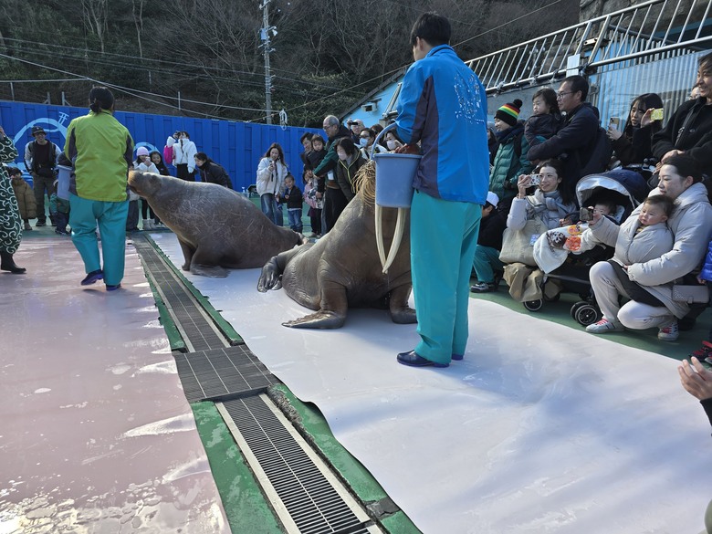 三重縣 伊勢海洋樂園 今天來點不一樣的水族館吧