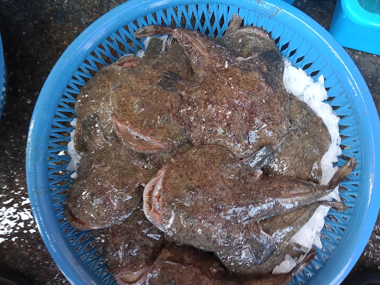 地震魚有人吃過嗎？要怎麼料理。