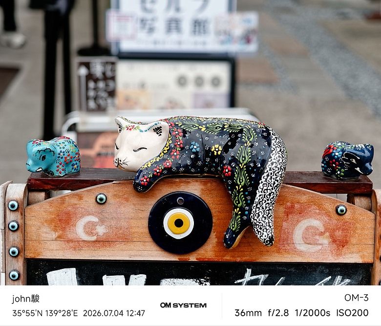 點我看大圖 再看一次東京第二日(川越(小江戶)、西櫻亭-川越店、米飛兔 MIFFY KITCHEN & BAKERY川越店、冰川神社、小川菊-鰻魚飯、新宿街頭貓咪、清州橋下、焼き豚ラーメン 東煌)(OM SYSTEM OM-1II、OM-3、OM-5II、TG-7)