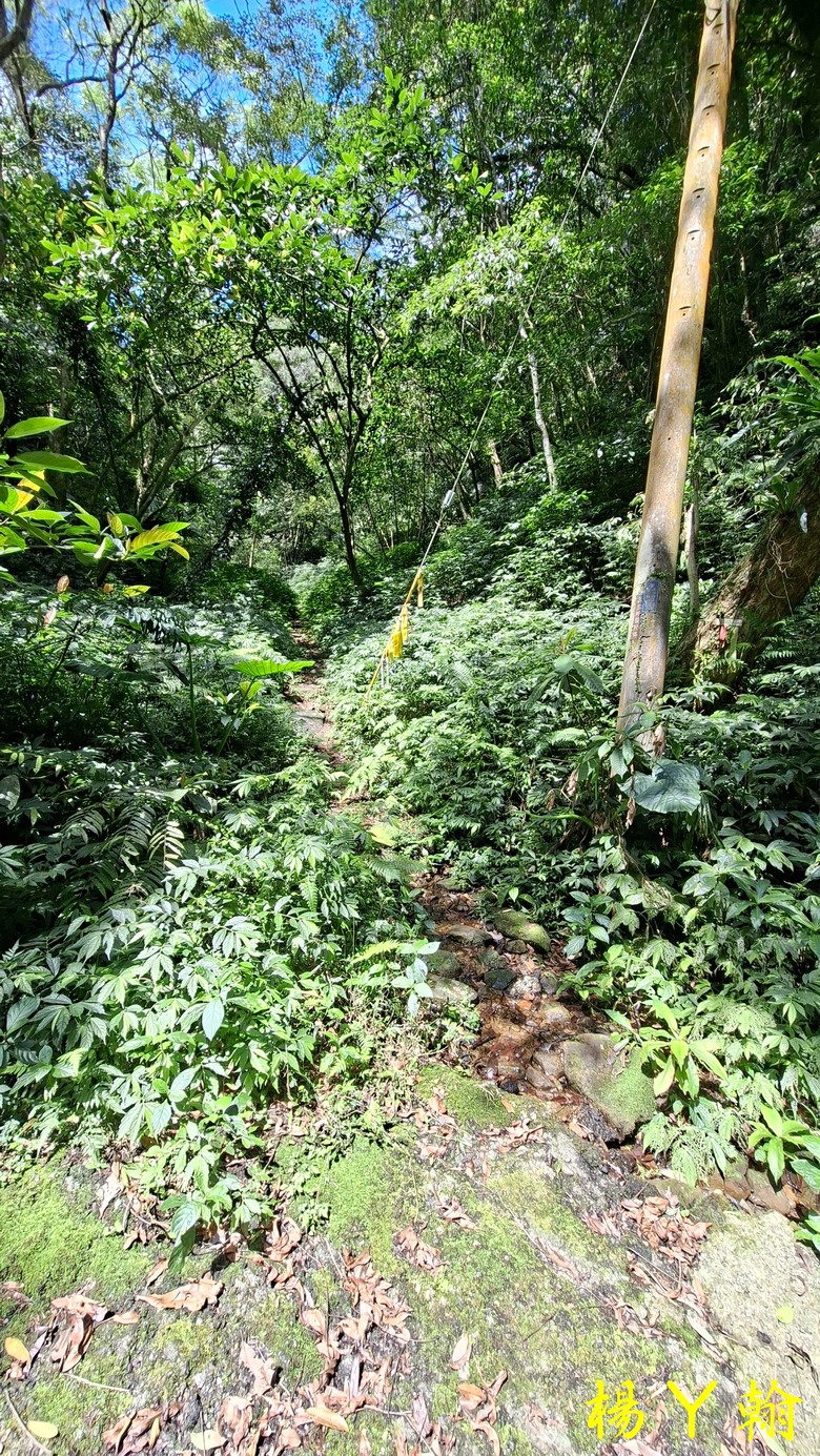 【郊山走走】拉繩攀爬登頂猴山岳前峰,猴山岳連走貓空圓山、岐山古道