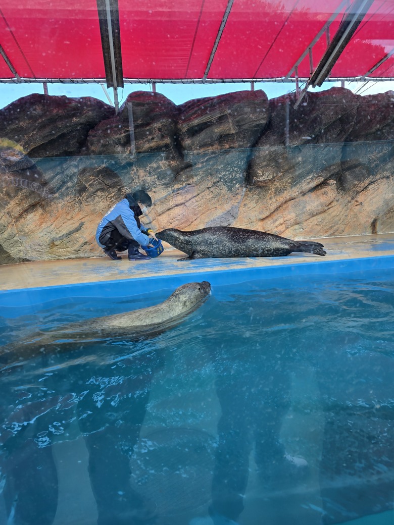 三重縣 伊勢海洋樂園 今天來點不一樣的水族館吧