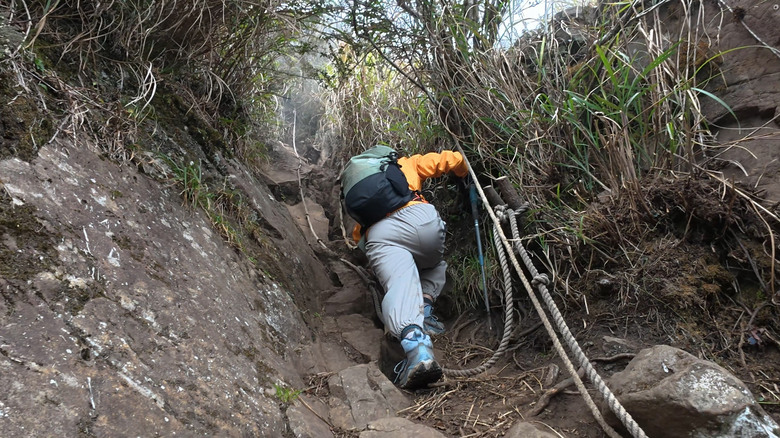 【哈加縱走】極具挑戰的中級山縱走路線 | 哈堪尼山.加里山
