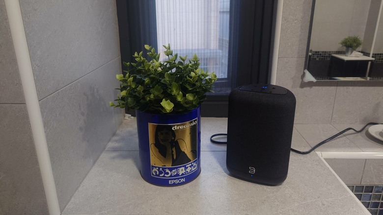 BLUESOUND PULSE FLEX 數位串流揚聲器 - 開箱與視聽心得分享