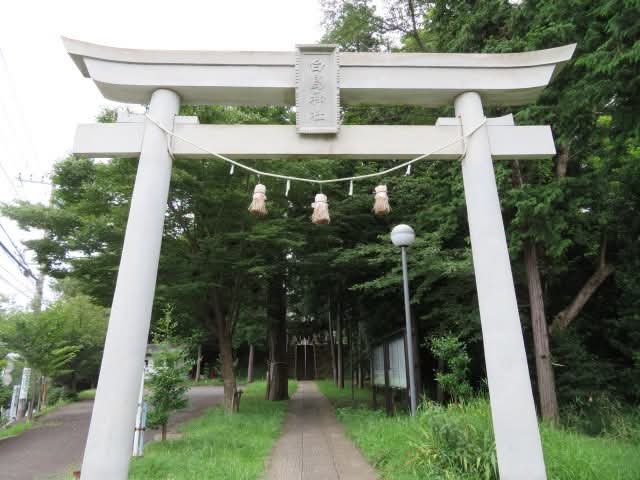 鳥居還是鳥居啊！ 白色就不是鳥居？？？