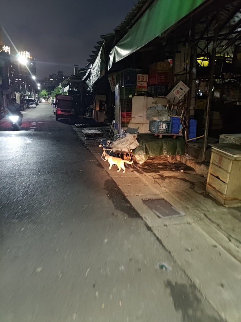 新北市 三重區 三重果菜市場