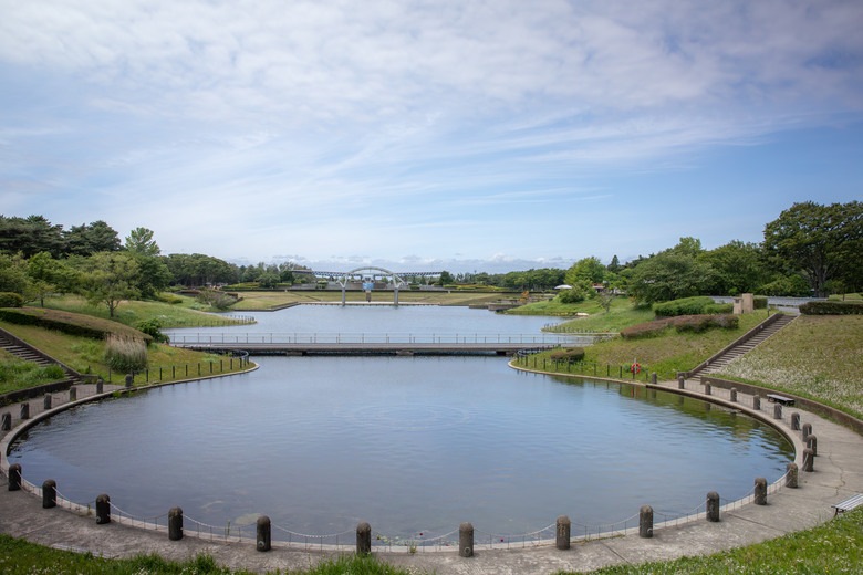 點我看大圖 ✈️ 趕在暑假人潮爆炸前,先衝一波日本上篇~海上鳥居絕景、現流海鮮隨意吃、森林系秘境參拜