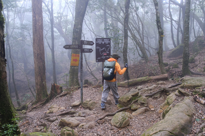 【哈加縱走】極具挑戰的中級山縱走路線 | 哈堪尼山.加里山
