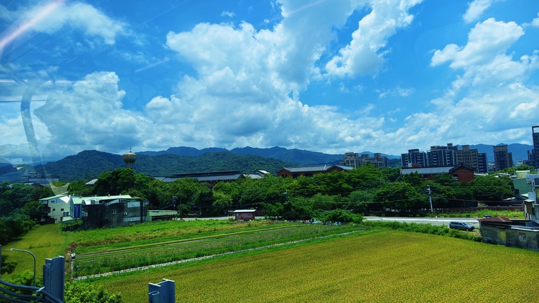 新三鶯線開通後必走!福源山步道實走|滿樹獨角仙、百年大榕樹、鶯歌石一次收集