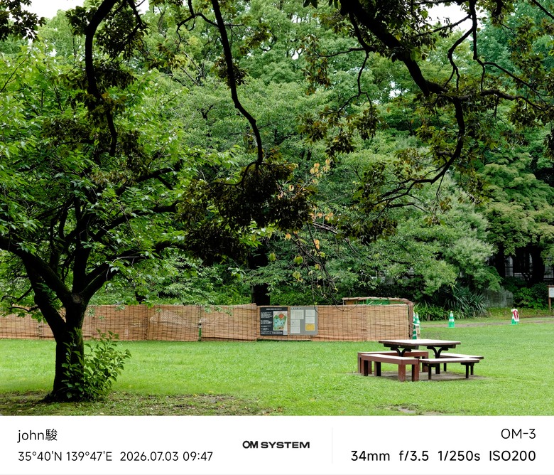 再看一次東京第一日(清澄庭園、藍瓶咖啡、OMSYSTEM PLAZA、炸牛排元村、東京鐵塔)(OM SYSTEM OM-1II、OM-3、OM-5II、TG-7)