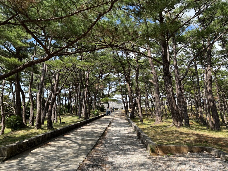 114年2月26日至114年3月2日沖繩行(114年2月27日第2天)