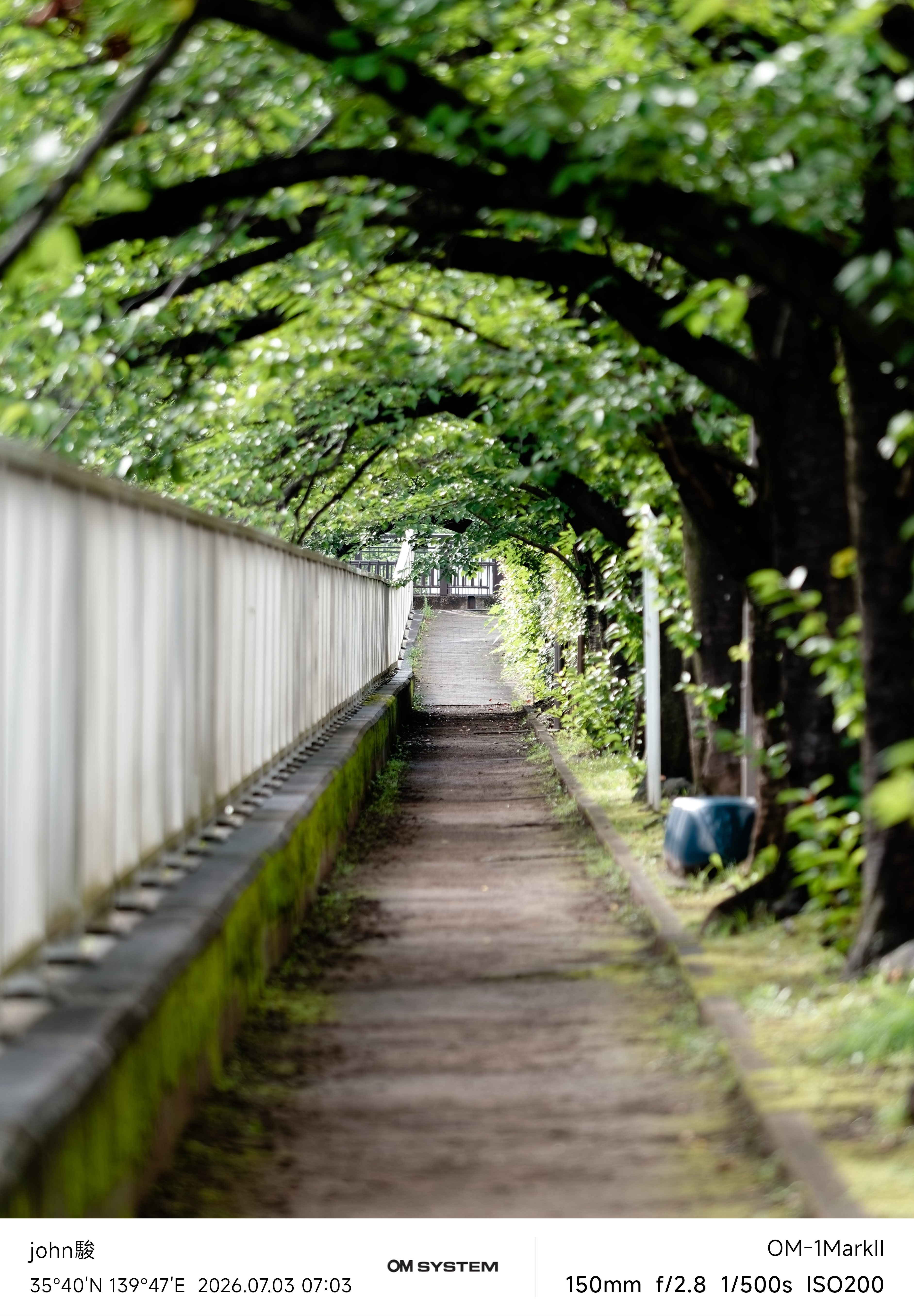 再看一次東京第一日(清澄庭園、藍瓶咖啡、OMSYSTEM PLAZA、炸牛排元村、東京鐵塔)(OM SYSTEM OM-1II、OM-3、OM-5II、TG-7)