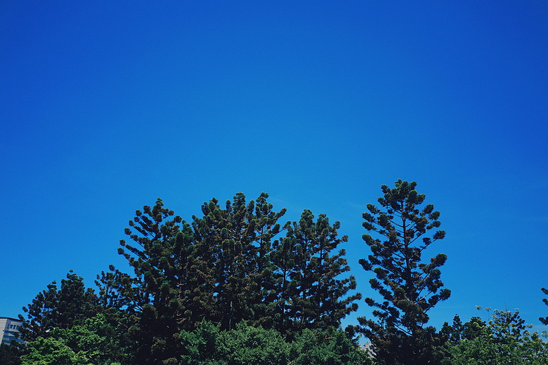 PANASONIC S9 | 唯卓仕 Viltrox AF 28mm F4.5 餅乾鏡 L-mount | 簡短心得分享