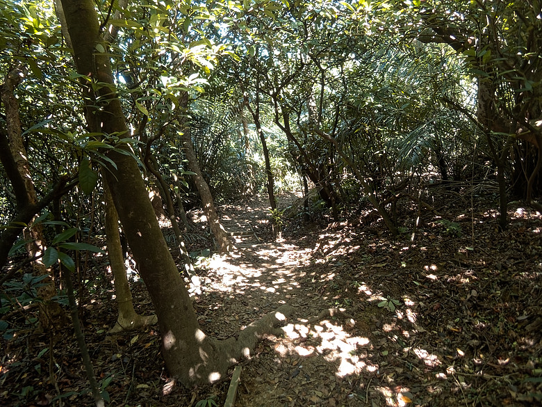 槓子寮砲台、槓子寮山步道(OM SYSTEM TG-7+Insta360 Luna Ultra)