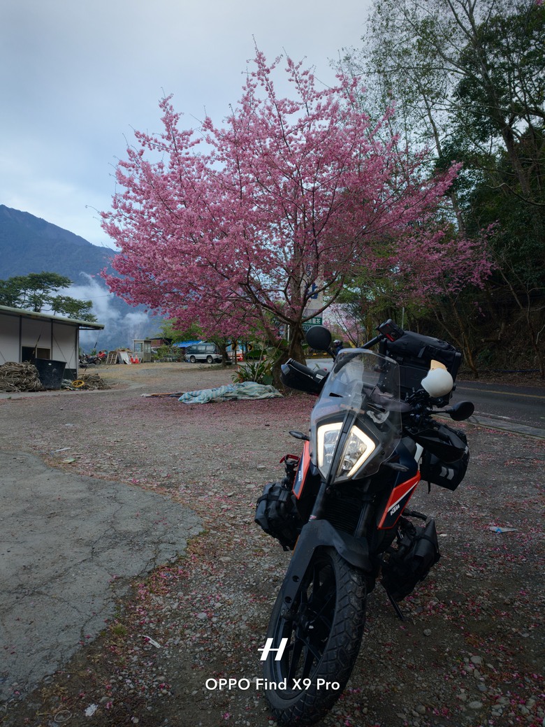 大重旅遊 | 由南往北切地瓜環島雪恥之旅｜Motorcycle Travel｜