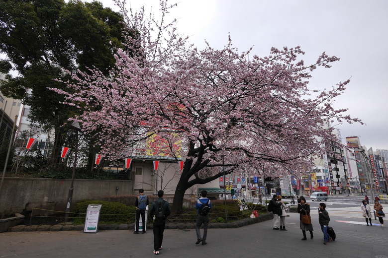 東京的一些旅遊紀錄 上野 都電おもいで広場 都電荒川線 晴空塔