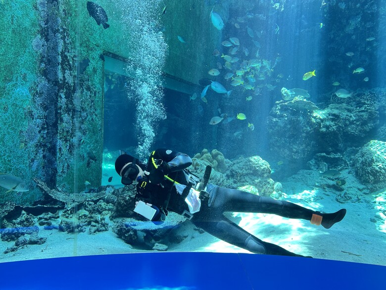 沖繩本島親子自由行|帶孩子玩翻世界文化王國、美麗海水族館!親子度假這樣排超輕鬆