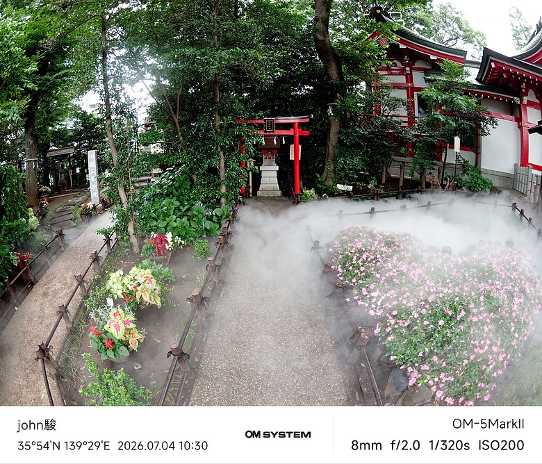 點我看大圖 再看一次東京第二日(川越(小江戶)、西櫻亭-川越店、米飛兔 MIFFY KITCHEN & BAKERY川越店、冰川神社、小川菊-鰻魚飯、新宿街頭貓咪、清州橋下、焼き豚ラーメン 東煌)(OM SYSTEM OM-1II、OM-3、OM-5II、TG-7)