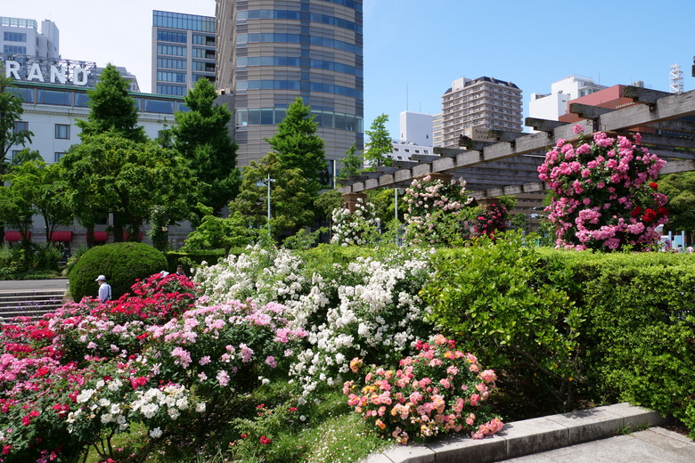 橫濱山下公園