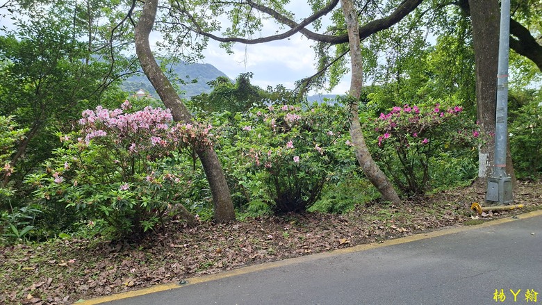 【郊山走走】拉繩攀爬登頂猴山岳前峰,猴山岳連走貓空圓山、岐山古道