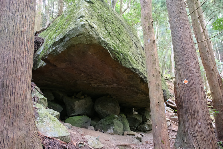 【哈加縱走】極具挑戰的中級山縱走路線 | 哈堪尼山.加里山