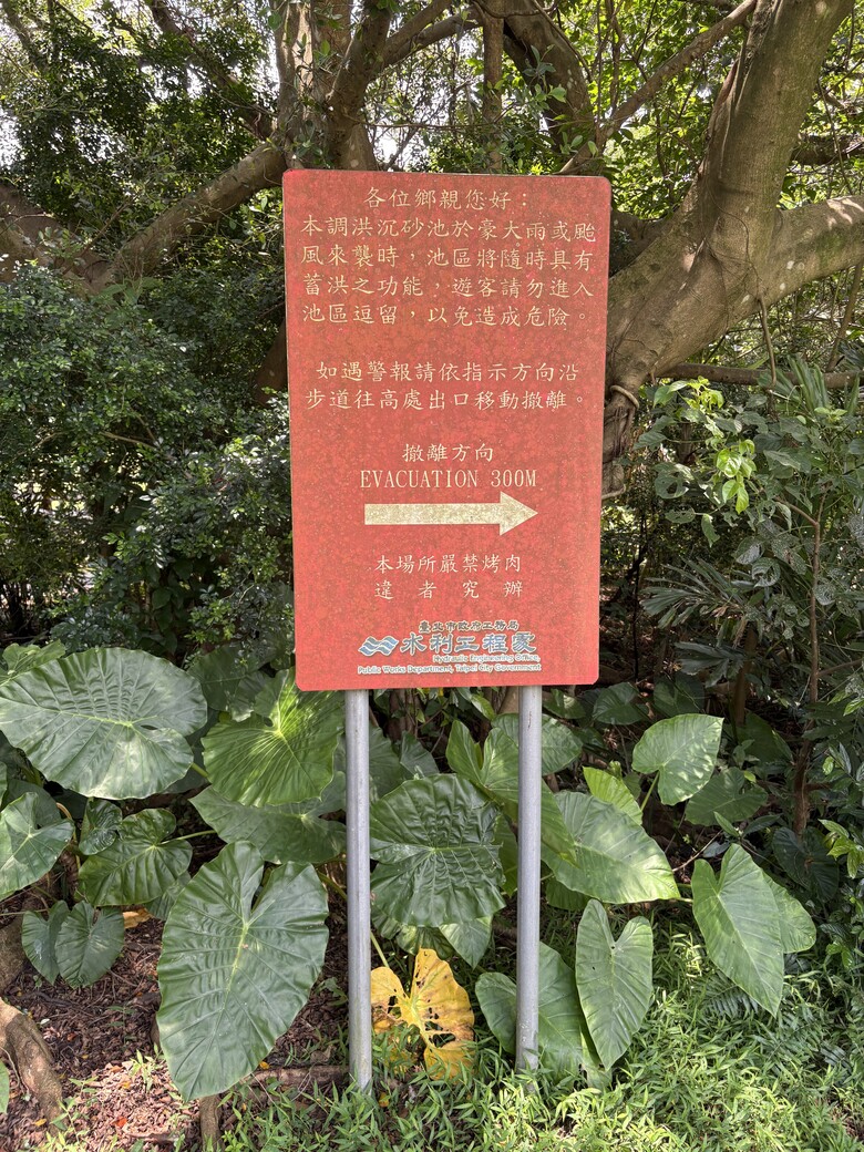 暑假第一站：內湖大溝溪，走進圓覺瀑布的一堂戶外自然課