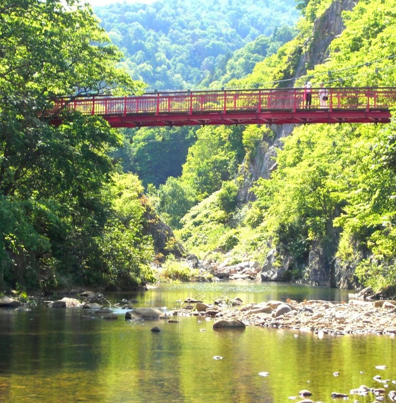 【行前攻略整理】北海道夏季景點、美食、全包躺平之旅