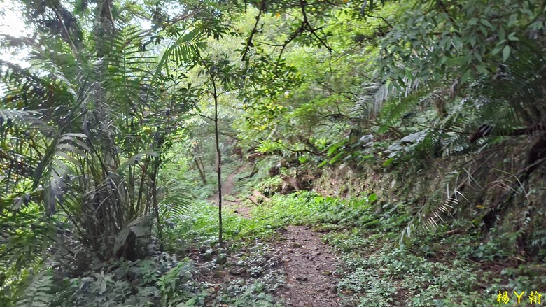 【郊山走走】拉繩攀爬登頂猴山岳前峰,猴山岳連走貓空圓山、岐山古道