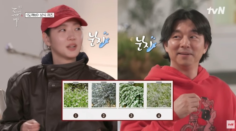 大家有在看《鬼怪》10 週年之旅嗎？
